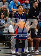 Photo from the gallery "Cholla @ Mica Mountain"