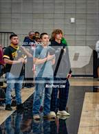 Photo from the gallery "Cholla @ Mica Mountain"