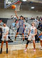 Photo from the gallery "Cholla @ Mica Mountain"