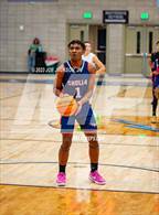 Photo from the gallery "Cholla @ Mica Mountain"