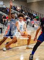 Photo from the gallery "Cholla @ Mica Mountain"