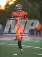 Photo from the gallery "Orange @ Villa Park"