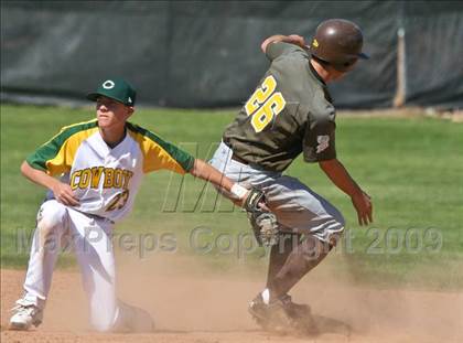 Thumbnail 2 in Crespi @ Canyon photogallery.