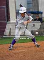 Photo from the gallery "Central @ Warner"