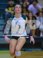 Photo from the gallery "Trinity Catholic @ Forest"