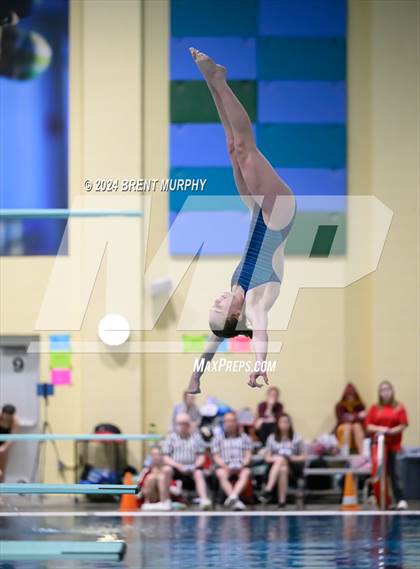 Thumbnail 1 in CHSAA 4A Girls Diving - State Championship photogallery.