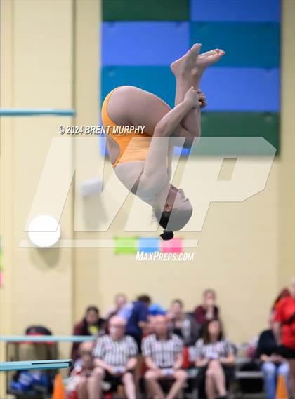 Thumbnail 1 in CHSAA 4A Girls Diving - State Championship photogallery.