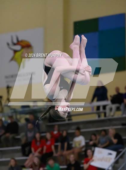 Thumbnail 1 in CHSAA 4A Girls Diving - State Championship photogallery.