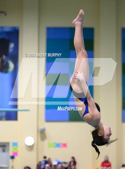 Thumbnail 1 in CHSAA 4A Girls Diving - State Championship photogallery.