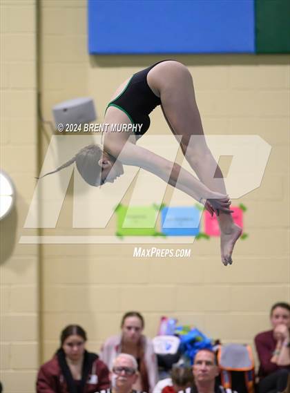 Thumbnail 3 in CHSAA 4A Girls Diving - State Championship photogallery.