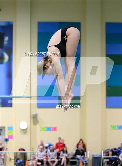 Thumbnail 3 in CHSAA 4A Girls Diving - State Championship photogallery.