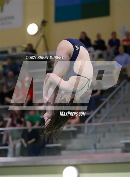 Thumbnail 2 in CHSAA 4A Girls Diving - State Championship photogallery.