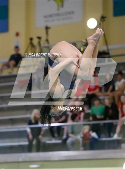 Thumbnail 1 in CHSAA 4A Girls Diving - State Championship photogallery.