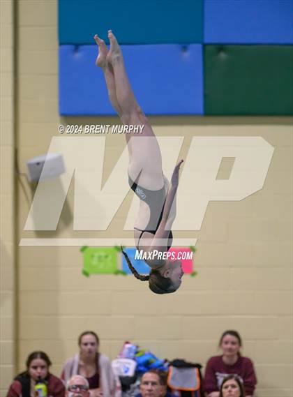 Thumbnail 1 in CHSAA 4A Girls Diving - State Championship photogallery.