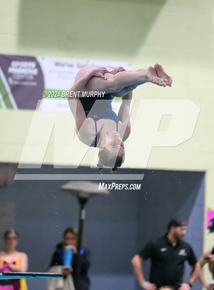 Thumbnail 2 in CHSAA 4A Girls Diving - State Championship photogallery.