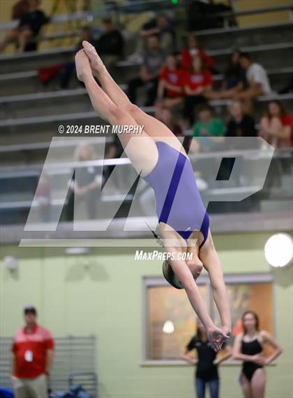 Thumbnail 3 in CHSAA 4A Girls Diving - State Championship photogallery.