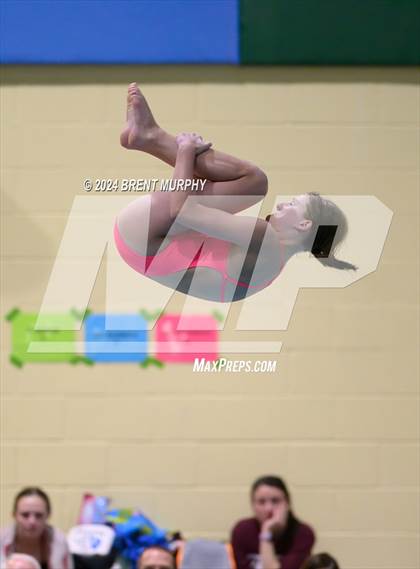 Thumbnail 1 in CHSAA 4A Girls Diving - State Championship photogallery.