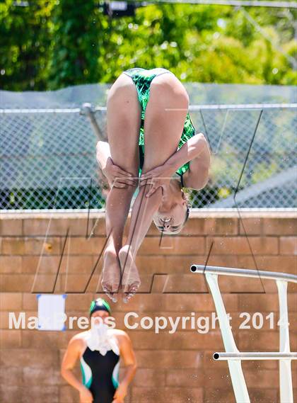 Thumbnail 1 in CIF SJS Girls Diving Championships photogallery.