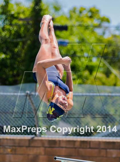 Thumbnail 2 in CIF SJS Girls Diving Championships photogallery.