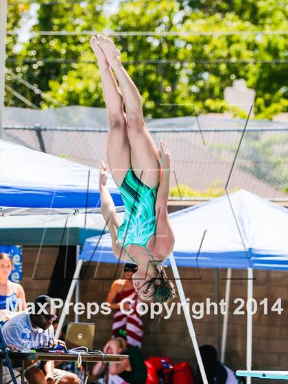 Thumbnail 1 in CIF SJS Girls Diving Championships photogallery.