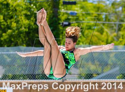 Thumbnail 2 in CIF SJS Girls Diving Championships photogallery.