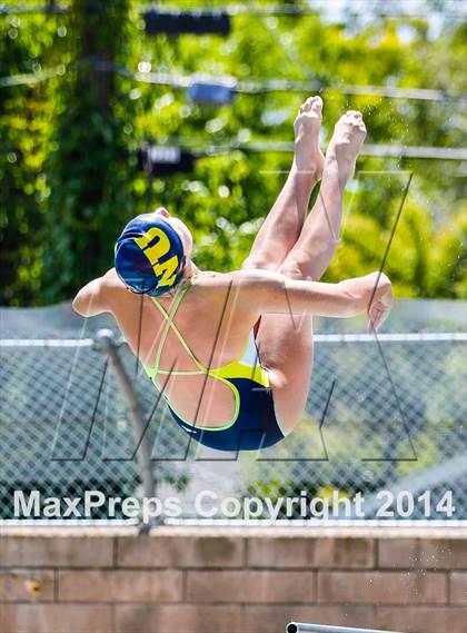 Thumbnail 2 in CIF SJS Girls Diving Championships photogallery.