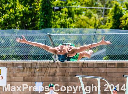 Thumbnail 3 in CIF SJS Girls Diving Championships photogallery.