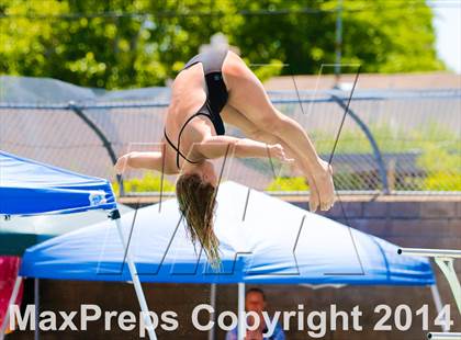 Thumbnail 2 in CIF SJS Girls Diving Championships photogallery.