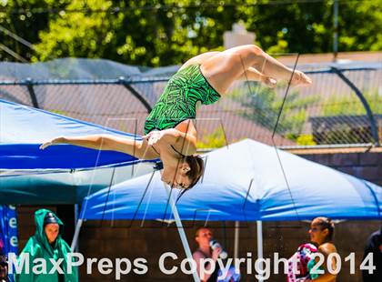 Thumbnail 2 in CIF SJS Girls Diving Championships photogallery.