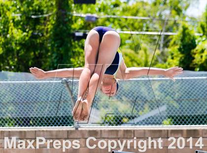 Thumbnail 1 in CIF SJS Girls Diving Championships photogallery.