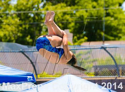 Thumbnail 1 in CIF SJS Girls Diving Championships photogallery.