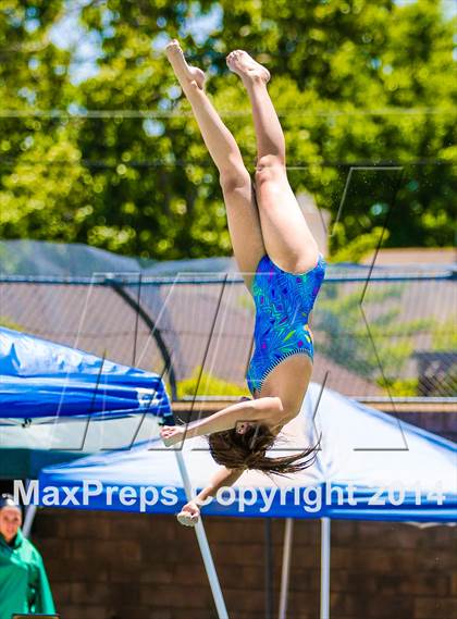 Thumbnail 1 in CIF SJS Girls Diving Championships photogallery.