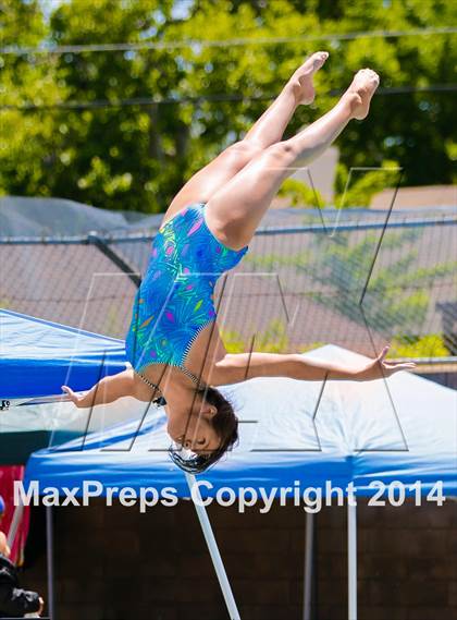 Thumbnail 2 in CIF SJS Girls Diving Championships photogallery.