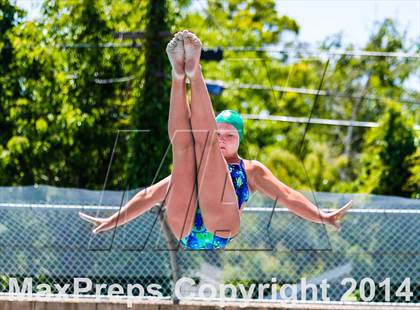 Thumbnail 2 in CIF SJS Girls Diving Championships photogallery.
