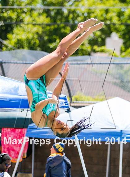 Thumbnail 3 in CIF SJS Girls Diving Championships photogallery.