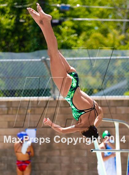 Thumbnail 2 in CIF SJS Girls Diving Championships photogallery.