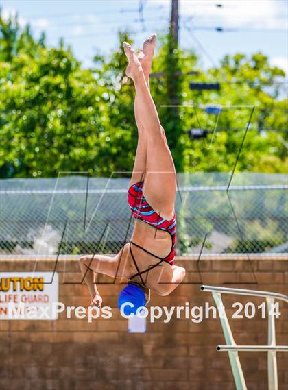 Thumbnail 1 in CIF SJS Girls Diving Championships photogallery.