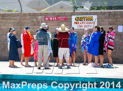 Thumbnail 1 in CIF SJS Girls Diving Championships photogallery.