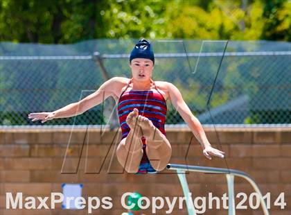 Thumbnail 1 in CIF SJS Girls Diving Championships photogallery.