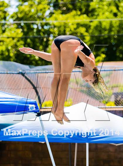 Thumbnail 3 in CIF SJS Girls Diving Championships photogallery.