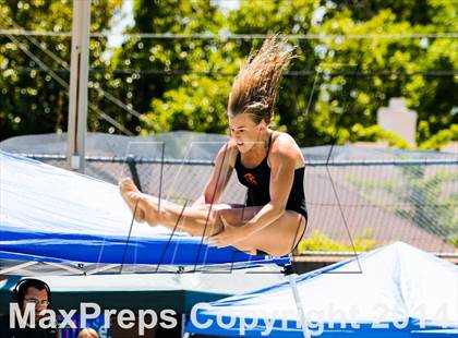 Thumbnail 3 in CIF SJS Girls Diving Championships photogallery.