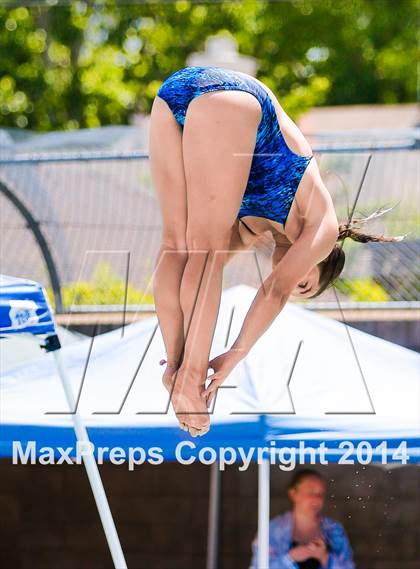 Thumbnail 1 in CIF SJS Girls Diving Championships photogallery.