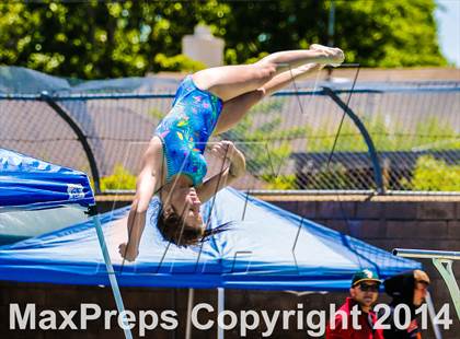 Thumbnail 3 in CIF SJS Girls Diving Championships photogallery.