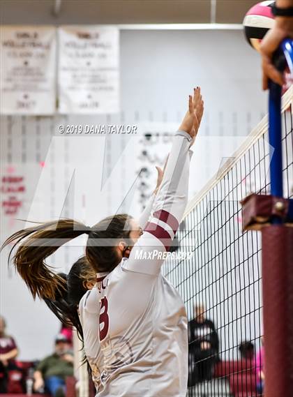 Thumbnail 3 in Chico @ Poolville photogallery.