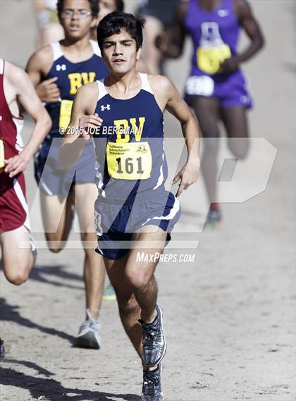 Thumbnail 1 in CIF State Cross Country Championships (D1 Boys Race) photogallery.