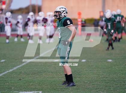 Thumbnail 2 in Manatee @ Lakewood Ranch photogallery.