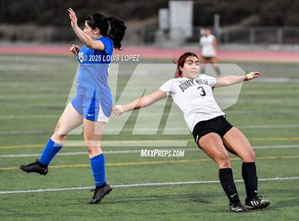 Thumbnail 2 in South Hills @ Diamond Ranch photogallery.