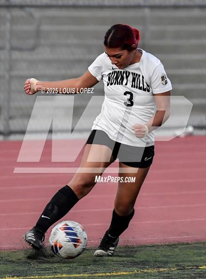 Thumbnail 1 in South Hills @ Diamond Ranch photogallery.