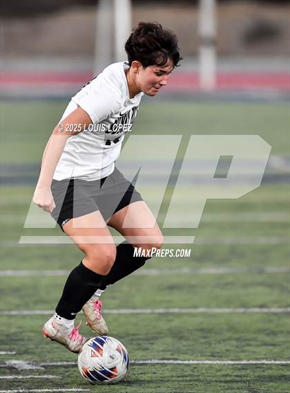 Thumbnail 3 in South Hills @ Diamond Ranch photogallery.