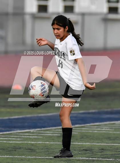 Thumbnail 2 in South Hills @ Diamond Ranch photogallery.